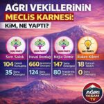 WhatsApp Image 2026-04-02 at 01.50.30