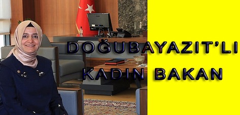 39cefdad-6ea