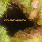 6336955a-67a