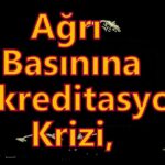 9b1a47e6-2c5